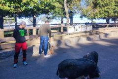 IMG-20231021-WA0006