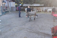 IMG-20231021-WA0010