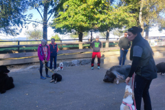 IMG-20231021-WA0016