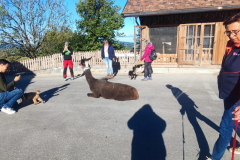 IMG-20231021-WA0027