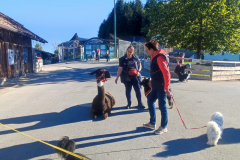 IMG-20231021-WA0029