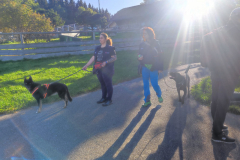 IMG-20231021-WA0031