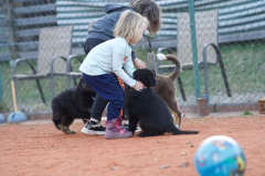 IMG-20220401-WA0015
