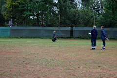 DSC1161