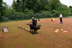 DSC1379