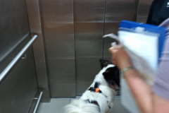 20230527_125103-scaled