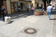 20230527_125317-scaled