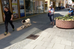 20230527_125344-scaled