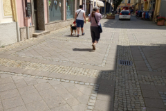 20230527_125624-scaled