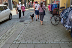 20230527_125649-scaled