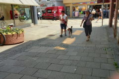 20230527_125724-scaled