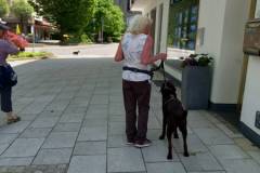 20230527_132637-scaled