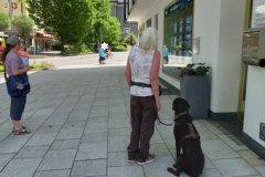 20230527_132647-scaled