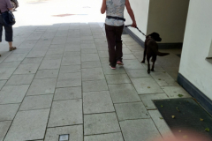 20230527_132717-scaled