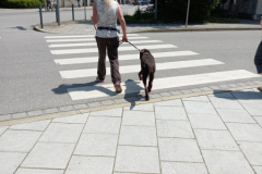 20230527_132752-scaled