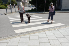 20230527_132753-scaled