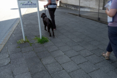 20230527_132840-scaled