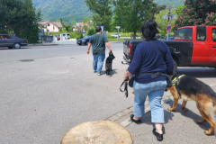 IMG-20230528-WA0003