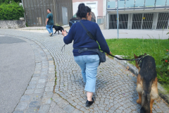IMG-20230528-WA0004