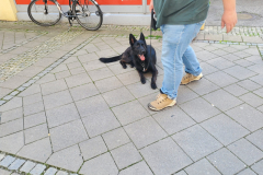 IMG-20230528-WA0006