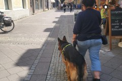 IMG-20230528-WA0007