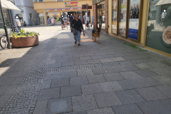 IMG-20230528-WA0009