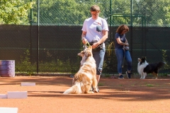 IMG-20200803-WA0024