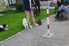 IMG-20230524-WA0091