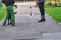 IMG-20231007-WA0061
