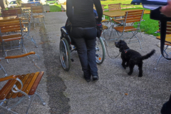 IMG-20231007-WA0066