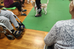 IMG-20231007-WA0095
