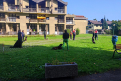 IMG-20231007-WA0141