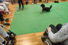 IMG-20231007-WA0144