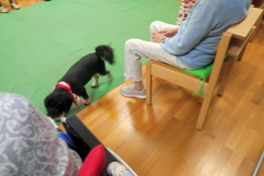 IMG-20231007-WA0145