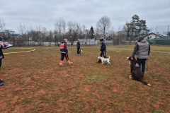 Nachpruefung-2025-03-16-um-13.03.33_c3c752be