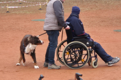 Nachpruefung-2025-03-16-um-13.03.34_45ccbdf9