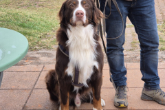 Nachpruefung-2025-03-16-um-13.03.34_bbece233