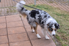 Nachpruefung-2025-03-16-um-13.03.34_d39843c7