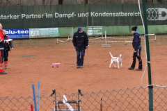 Nachpruefung-2025-03-16-um-13.03.35_099b8fca