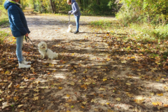 IMG-20231030-WA0016