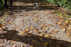 IMG-20231030-WA0022