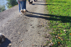 IMG-20231030-WA0033