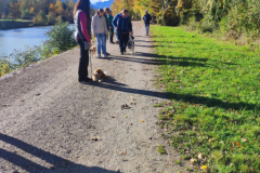 IMG-20231030-WA0035