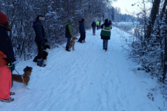 20221217_104955-scaled