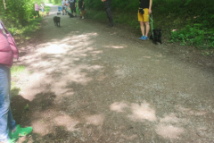 IMG-20230529-WA0031