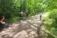 IMG-20230529-WA0033