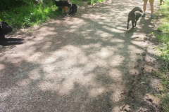 IMG-20230529-WA0035