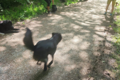 IMG-20230529-WA0036