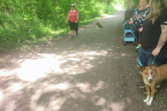 IMG-20230529-WA0040