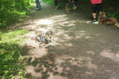 IMG-20230529-WA0041